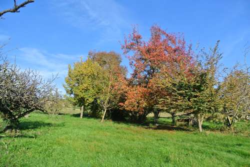 Beaupuy Lot-et-Garonne Grundstück Bild 7207302