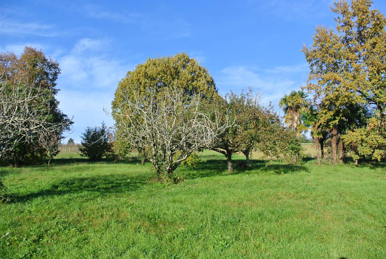  kaufen Grundstück Beaupuy Lot-et-Garonne 2