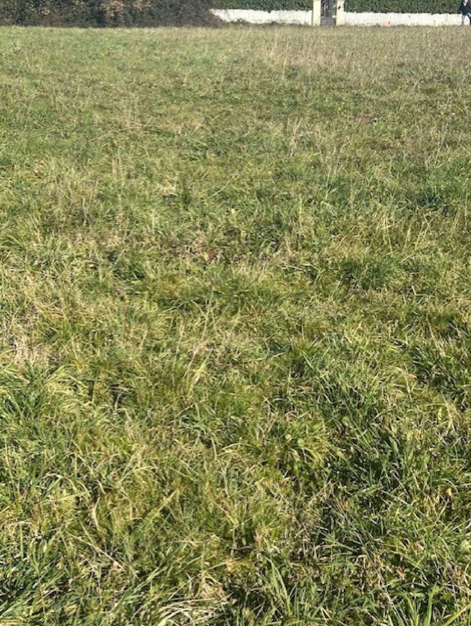  kaufen Grundstück Beaupuy Lot-et-Garonne 2