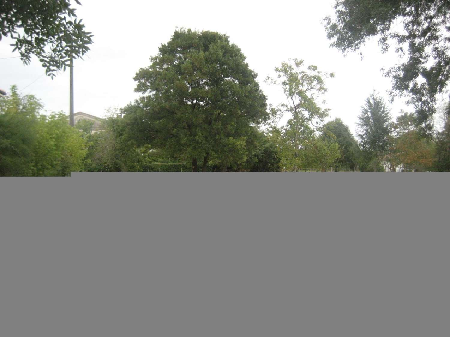  te koop terrein Béguey Gironde 1