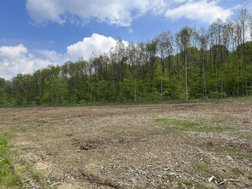 Belfort Territoire de Belfort terreno foto 7172745