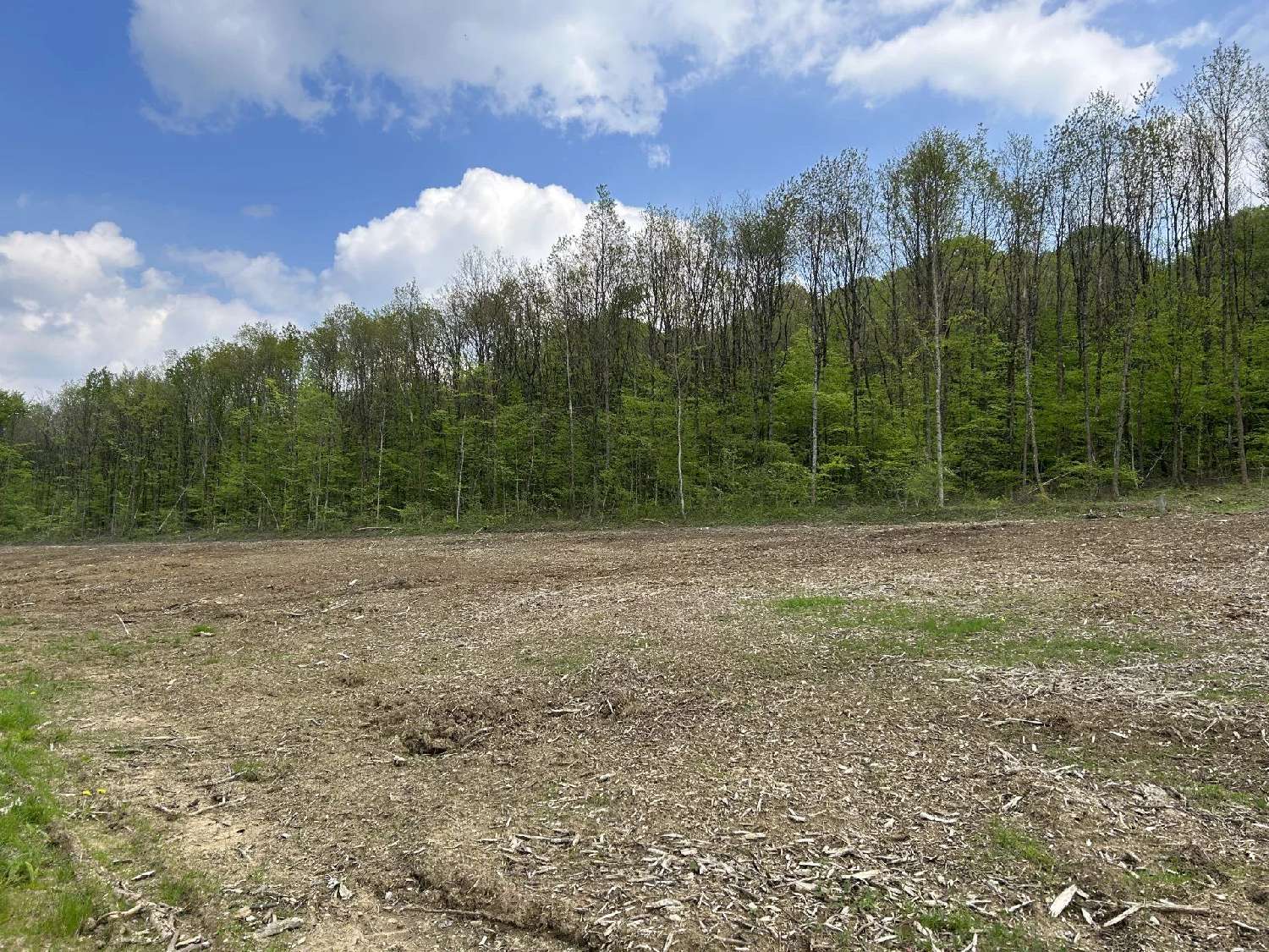  à vendre terrain Belfort Territoire de Belfort 1