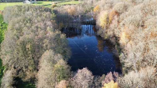 Belonchamp Haute-Saône terrain foto 7201294