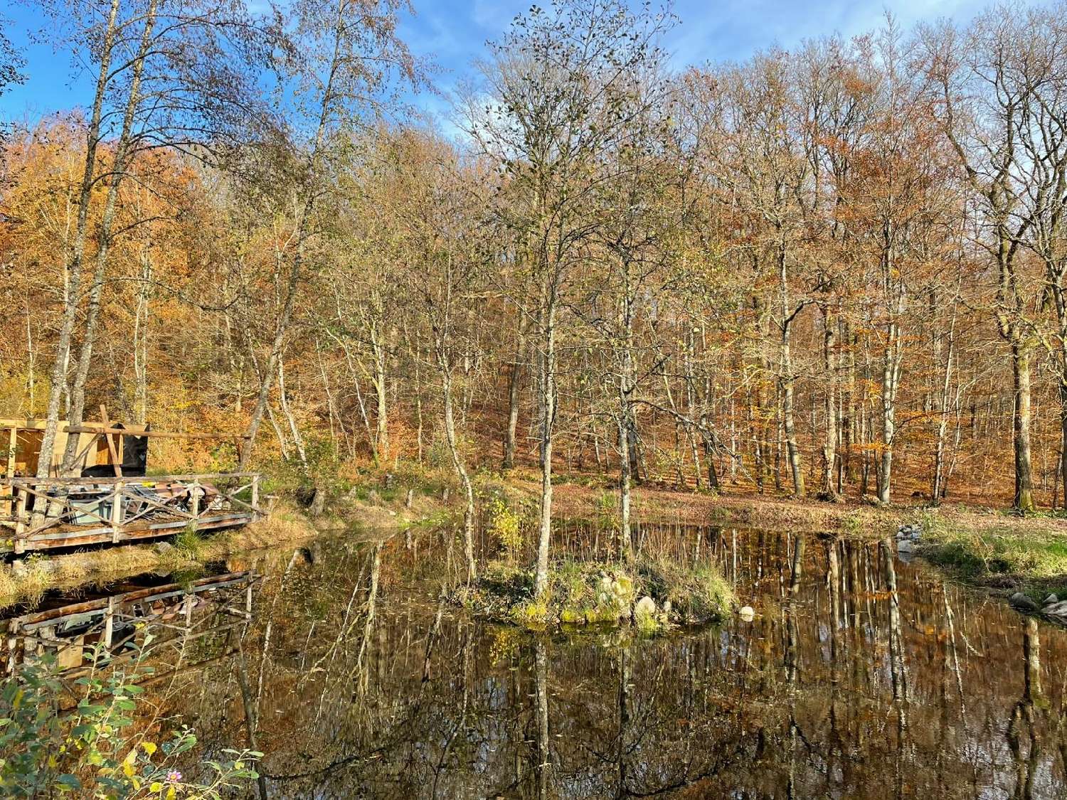  kaufen Grundstück Belonchamp Haute-Saône 2