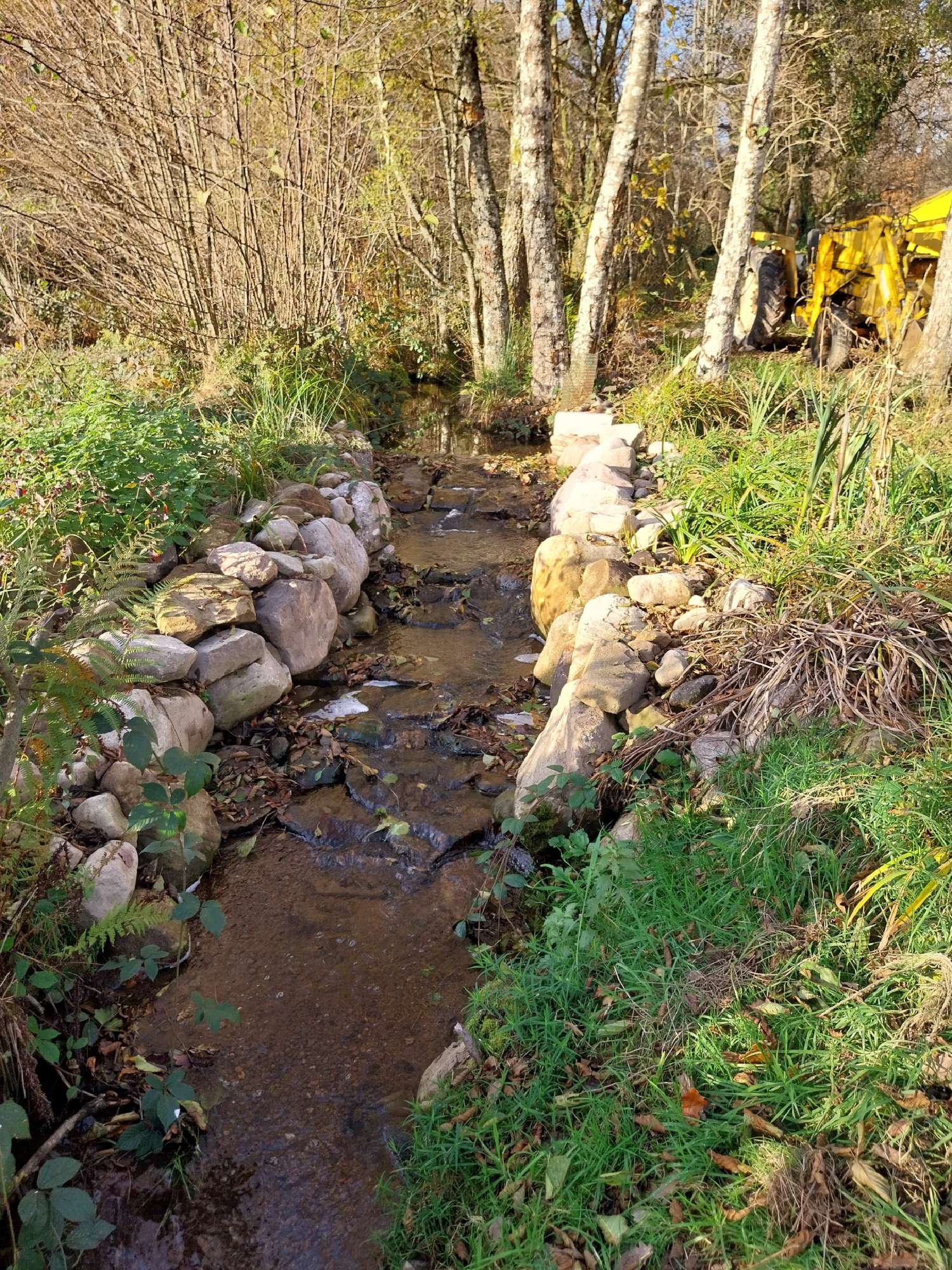  kaufen Grundstück Belonchamp Haute-Saône 3