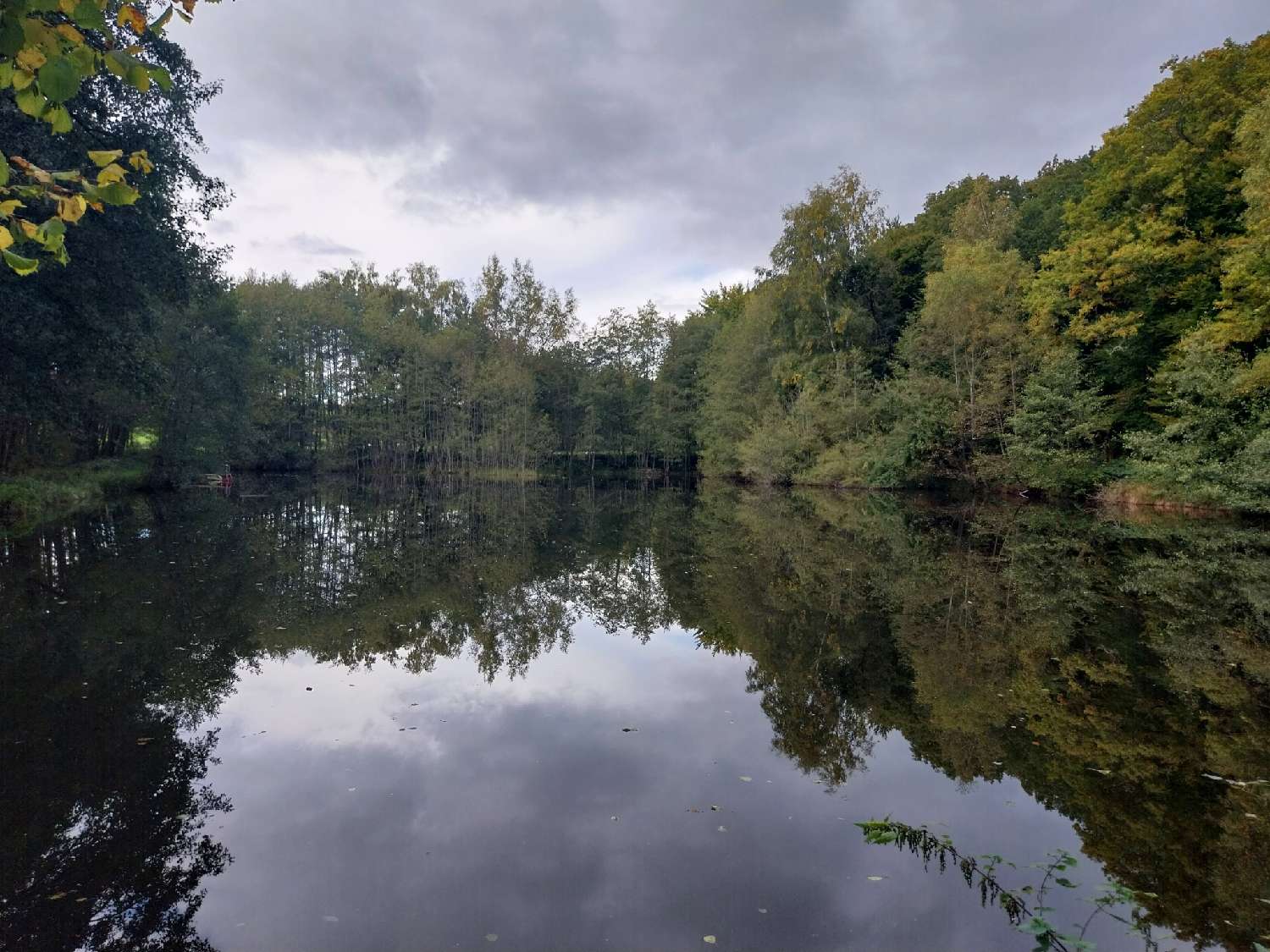  kaufen Grundstück Belonchamp Haute-Saône 5
