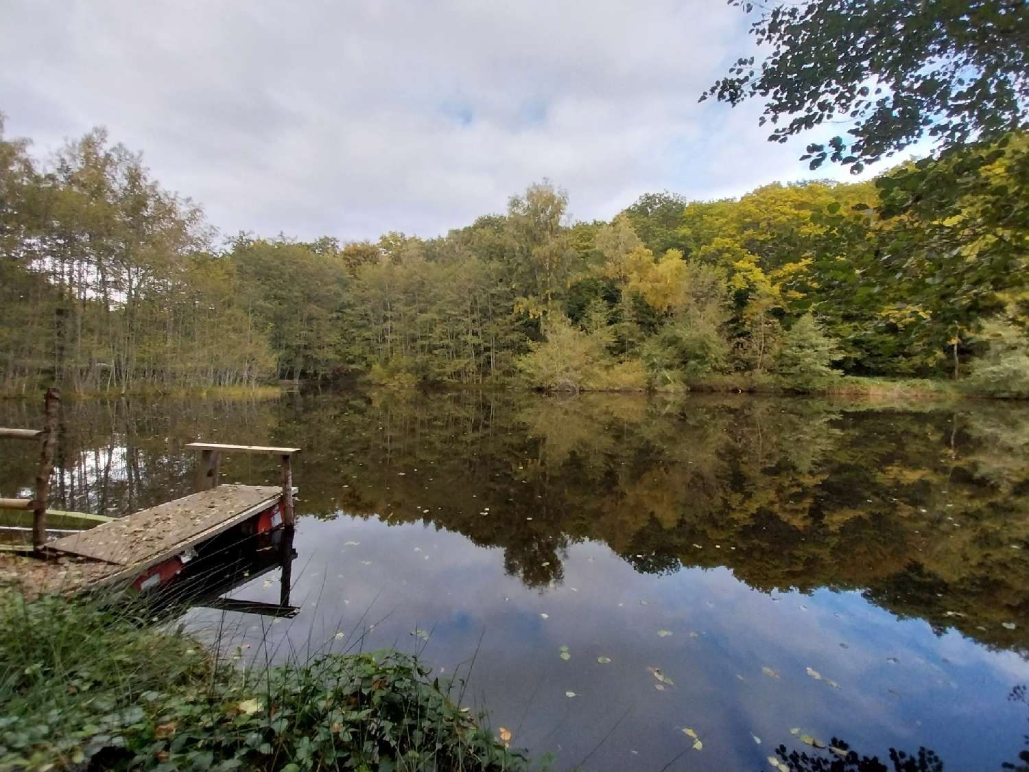  kaufen Grundstück Belonchamp Haute-Saône 6