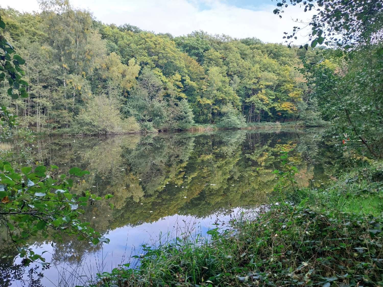  kaufen Grundstück Belonchamp Haute-Saône 7
