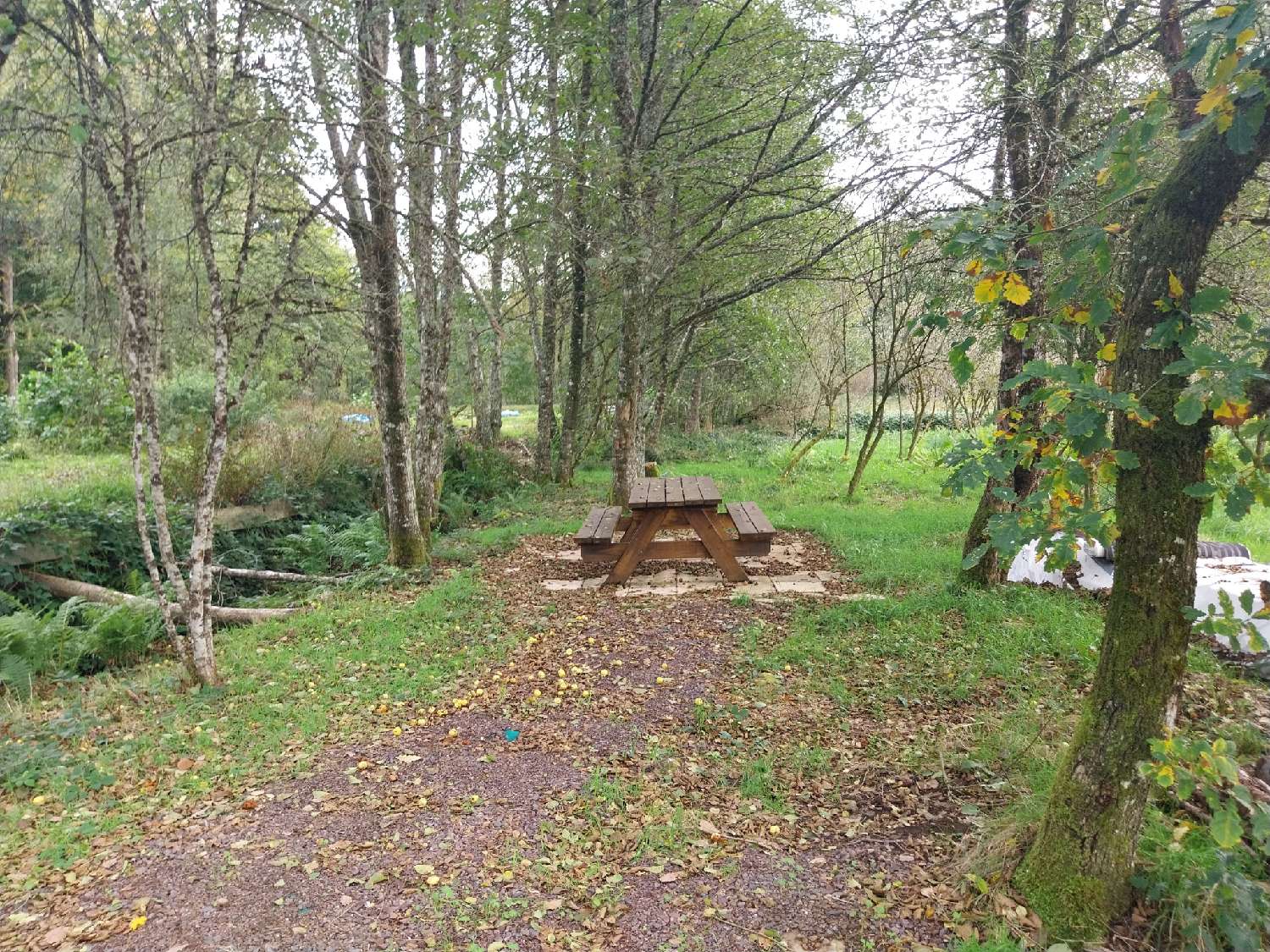  kaufen Grundstück Belonchamp Haute-Saône 8