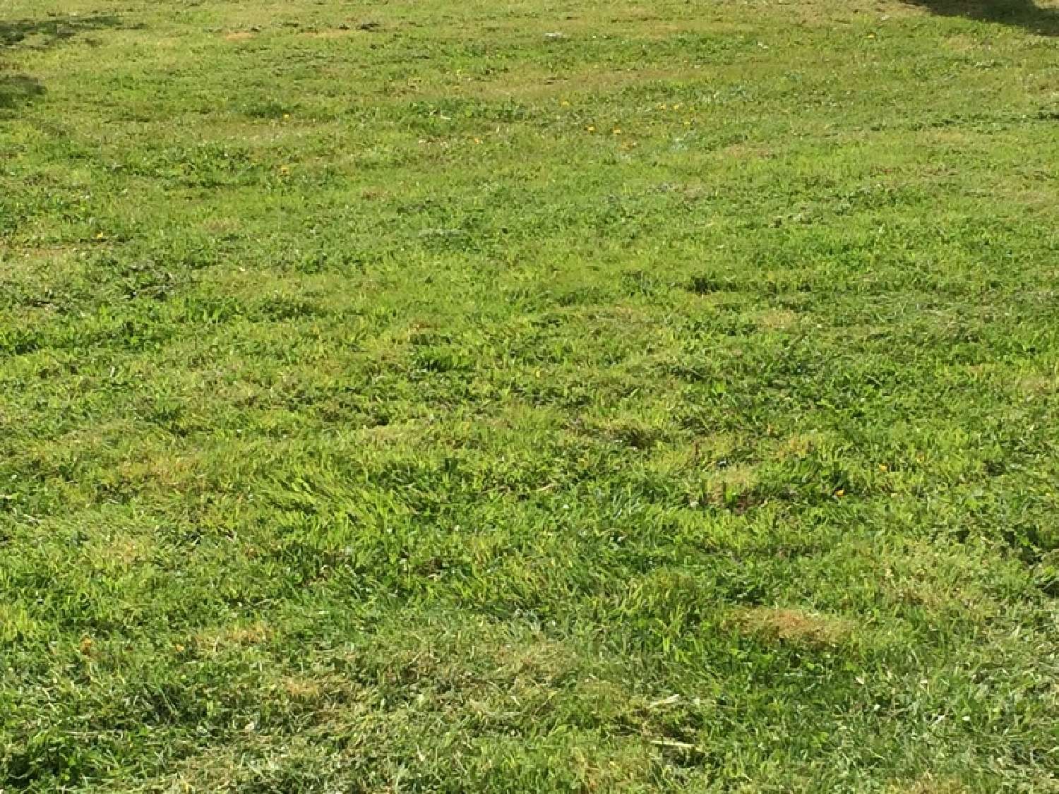  for sale terrain Bois-Guillaume Seine-Maritime 1