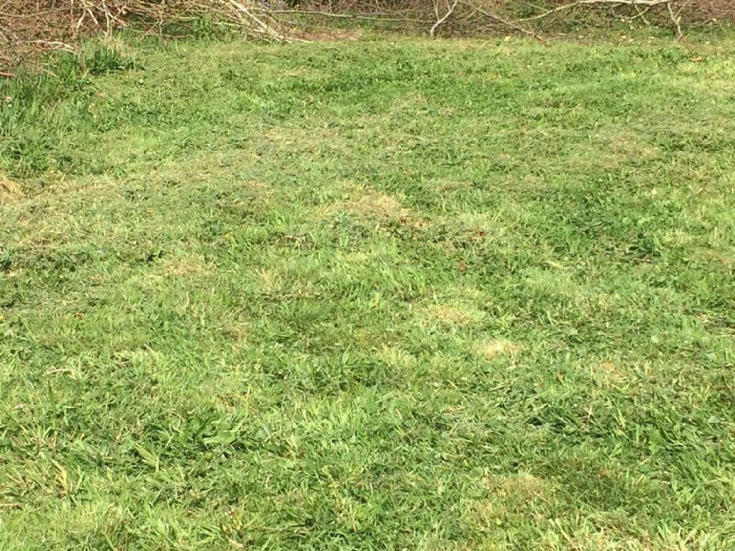  for sale terrain Bois-Guillaume Seine-Maritime 2