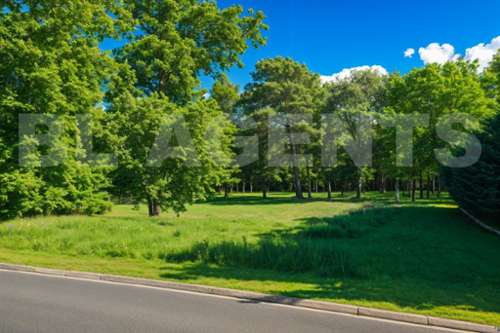 Braye-sous-Faye Indre-et-Loire terrain foto 7198473