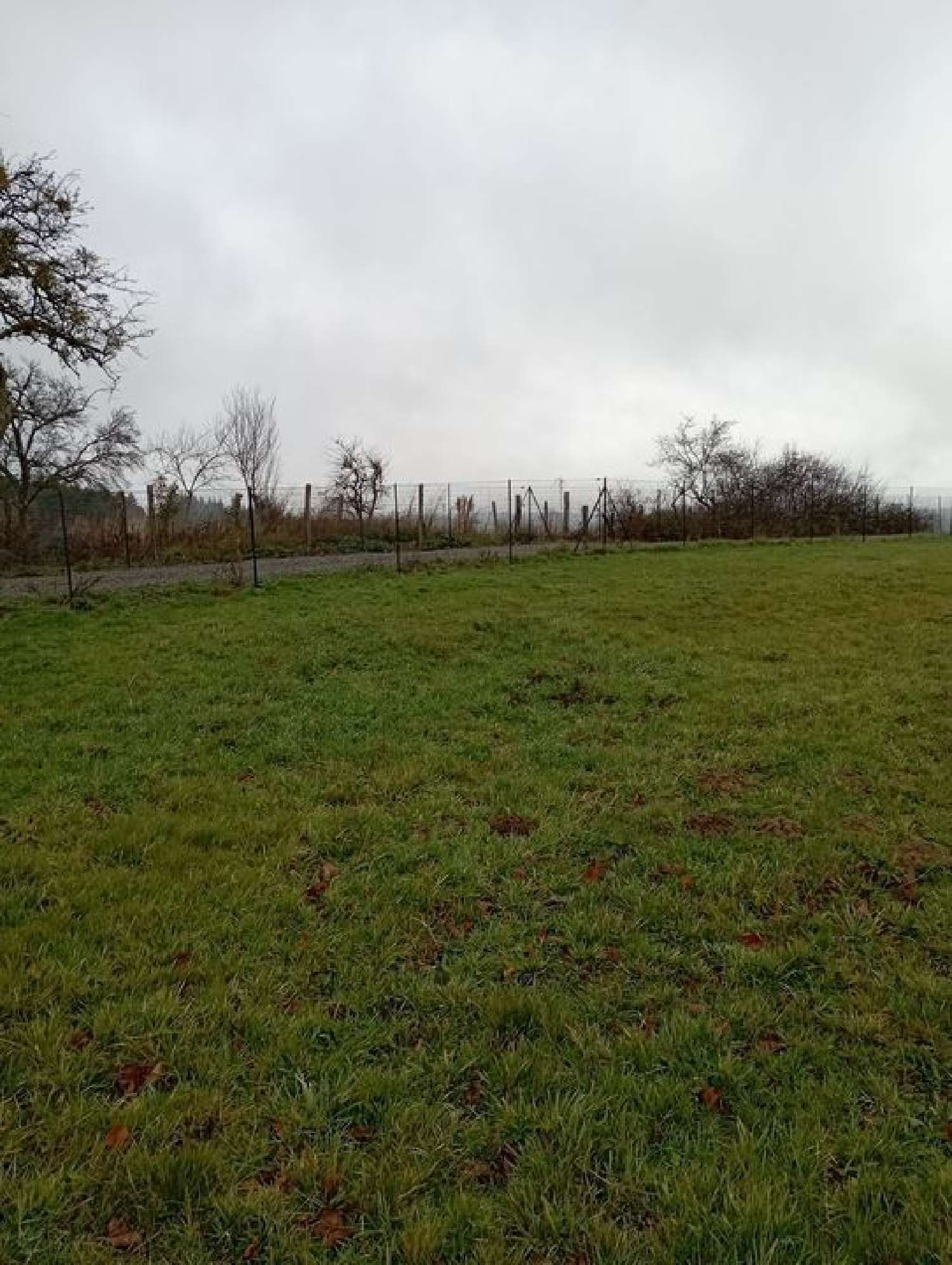 te koop terrein Busset Allier 1