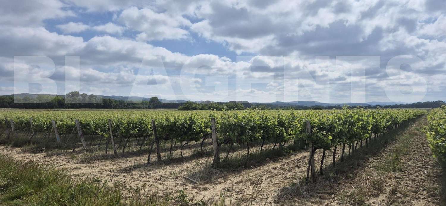  à vendre terrain Cambieure Aude 1