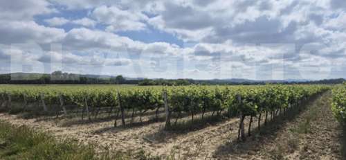 Cambieure Aude terrain foto 7200871