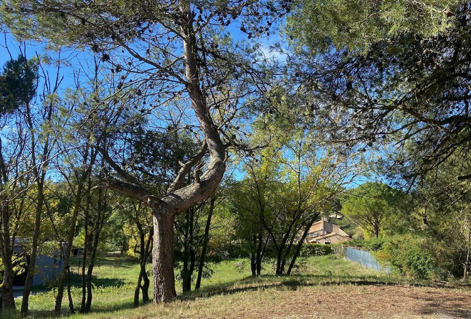  for sale terrain Carcassonne Aude 2