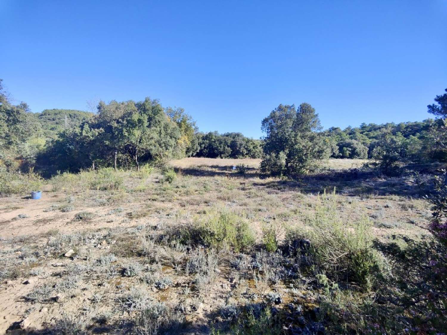 te koop terrein Carlencas-et-Levas Hérault 4
