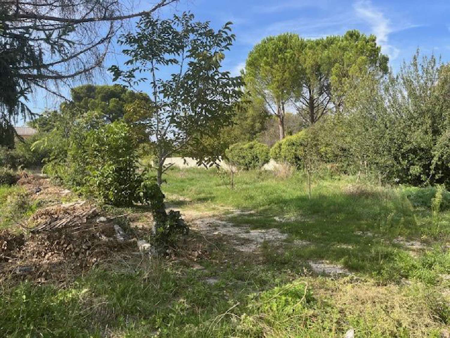  à vendre terrain Carpentras Vaucluse 1