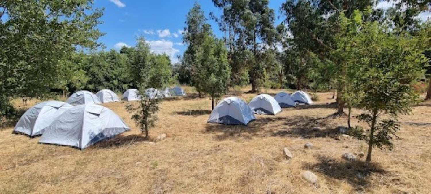  for sale terrain Casalabriva Corse-du-Sud 5