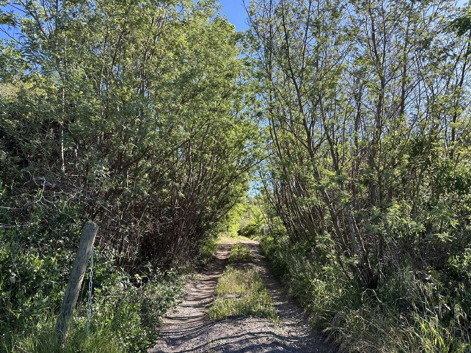  te koop terrein Caunes-Minervois Aude 8