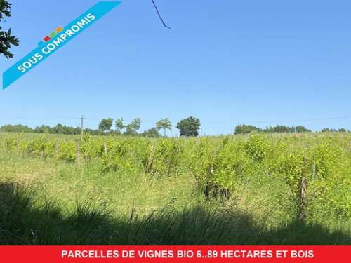 Cazaubon Gers terrain foto 7196112