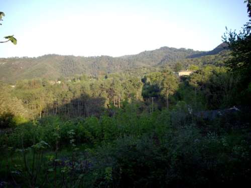 Cendras Gard terrein foto 7215255