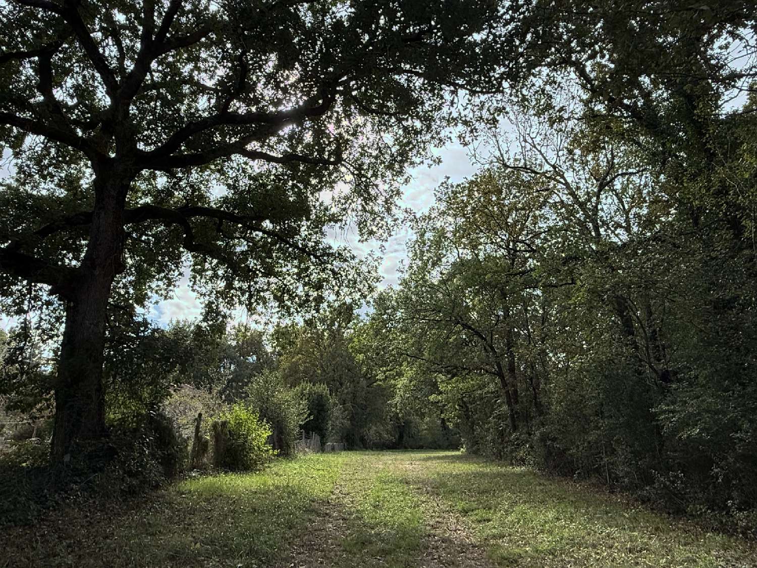  for sale terrain Cépet Haute-Garonne 2