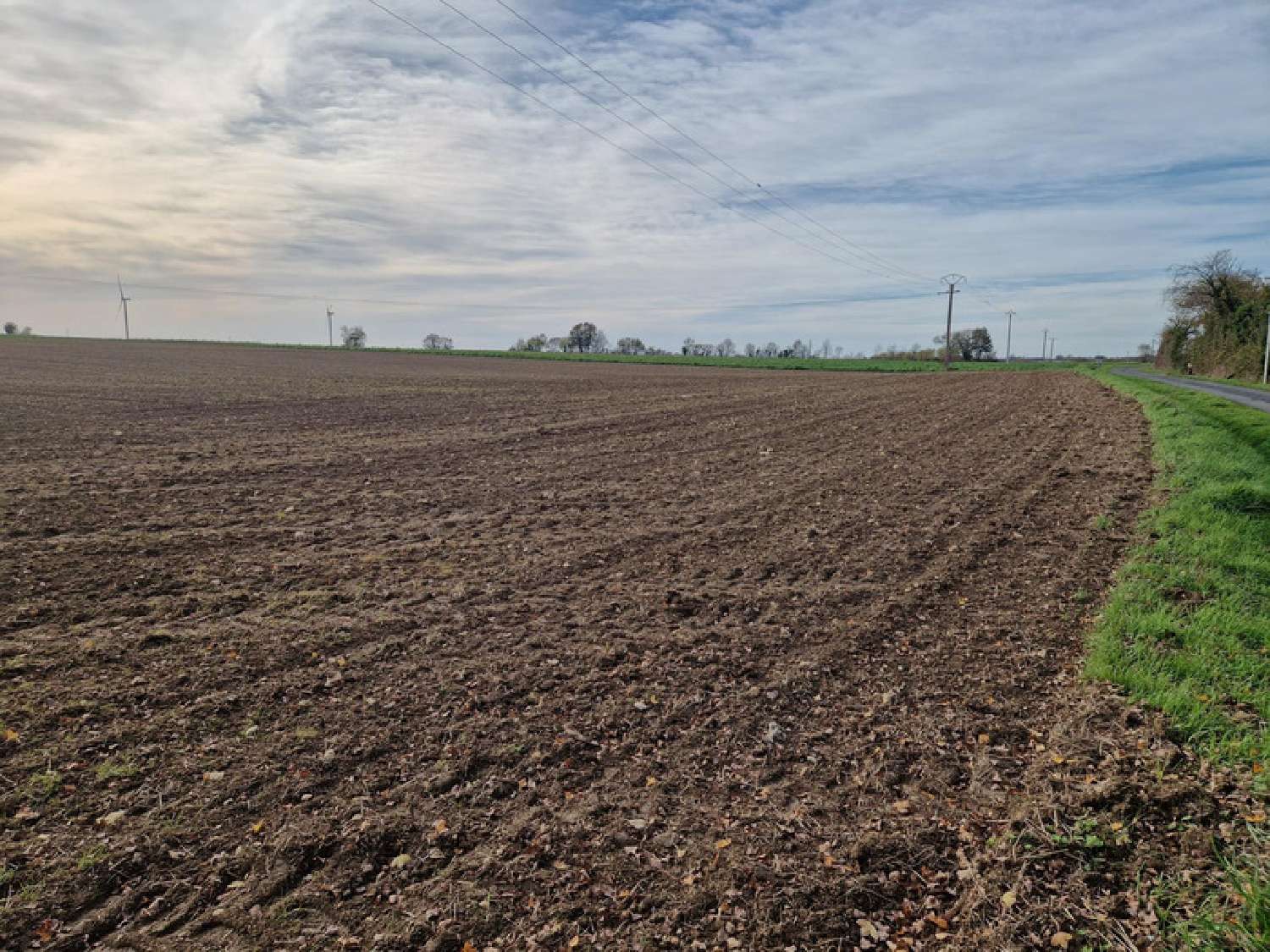 for sale terrain Chantemerle-sur-la-Soie Charente-Maritime 3