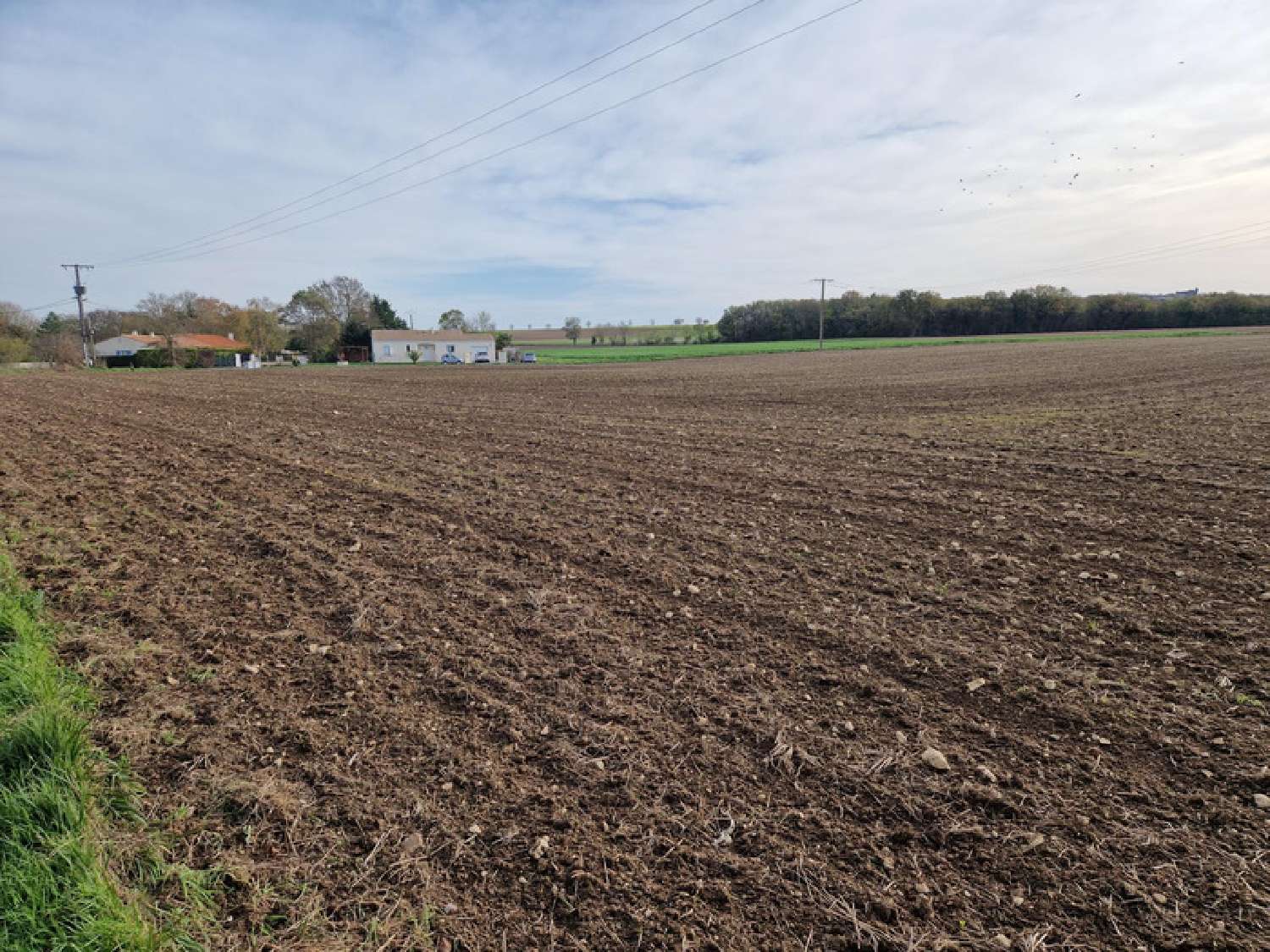 te koop terrein Chantemerle-sur-la-Soie Charente-Maritime 3