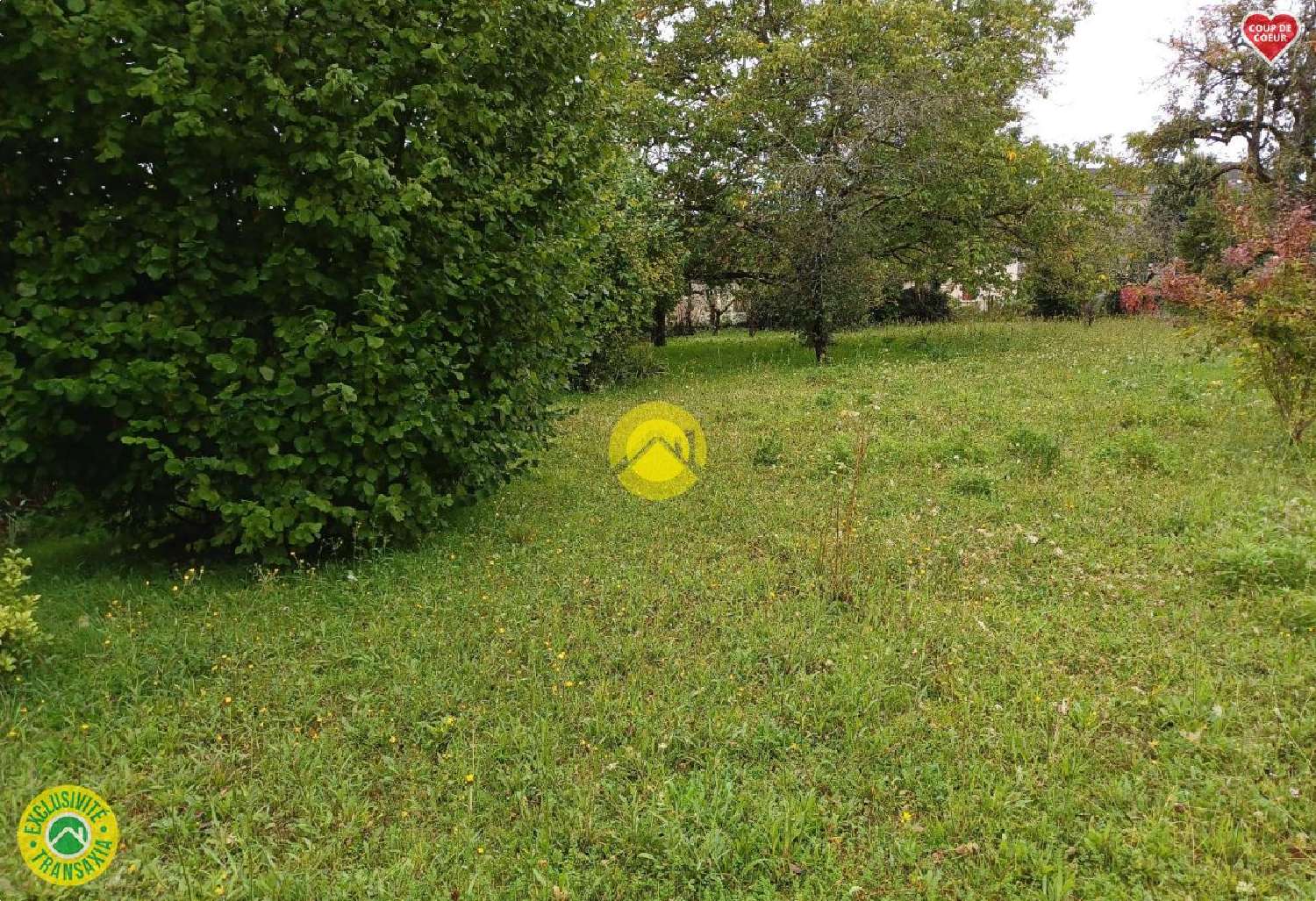  te koop terrein Chârost Cher 6