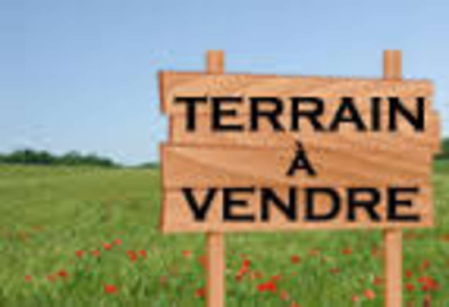  te koop terrein Chaudefonds-sur-Layon Maine-et-Loire 1