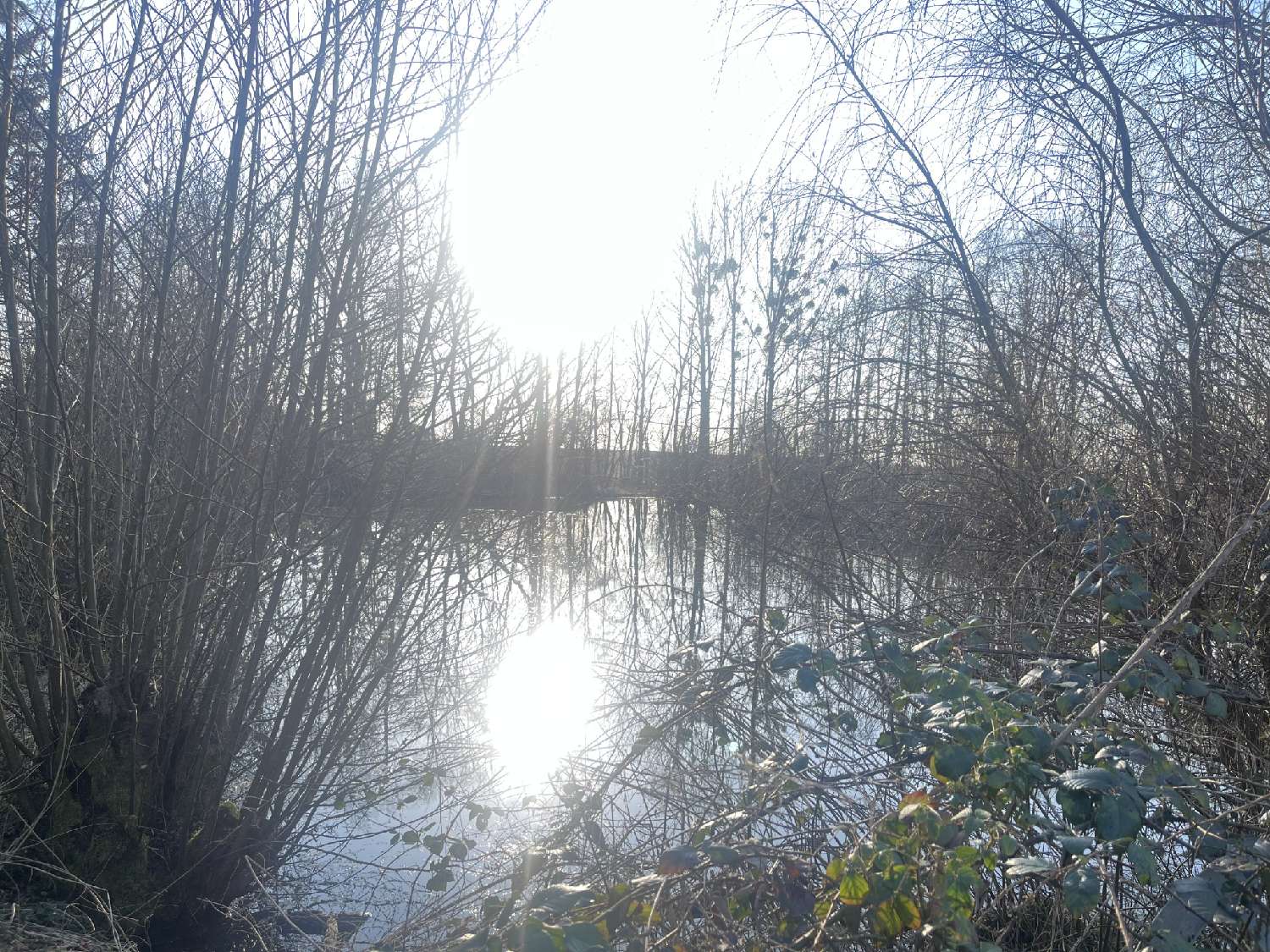  à vendre terrain Choiseul Haute-Marne 1