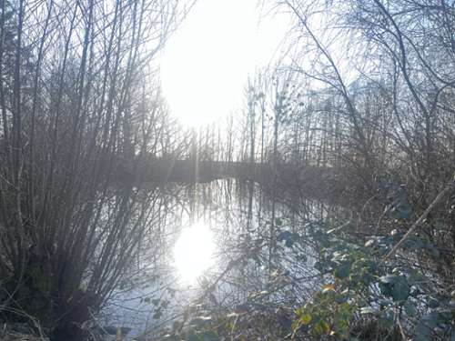 Choiseul Haute-Marne terrain foto 7201174