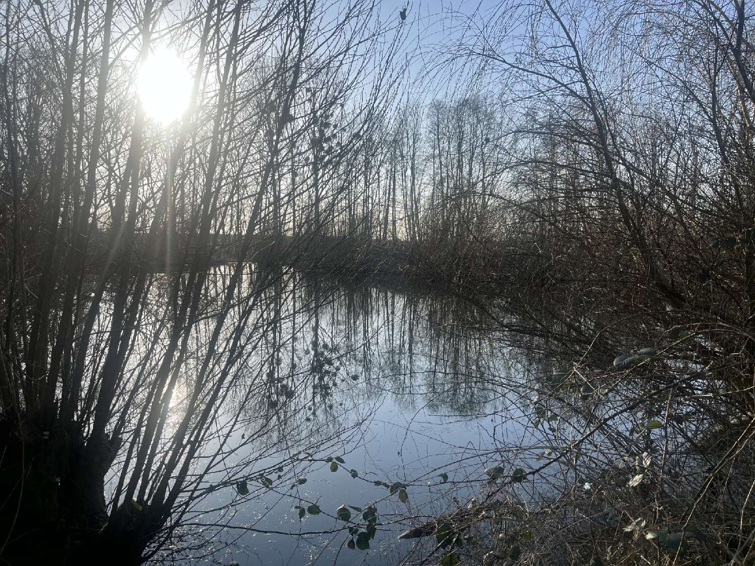  à vendre terrain Choiseul Haute-Marne 2