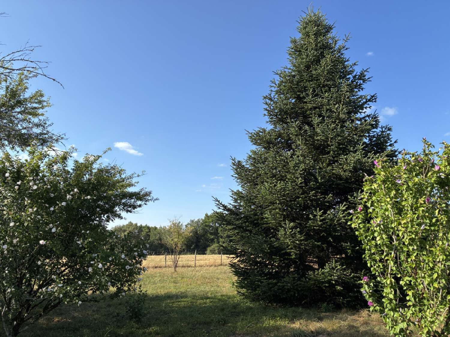 te koop terrein Clérac Charente-Maritime 5