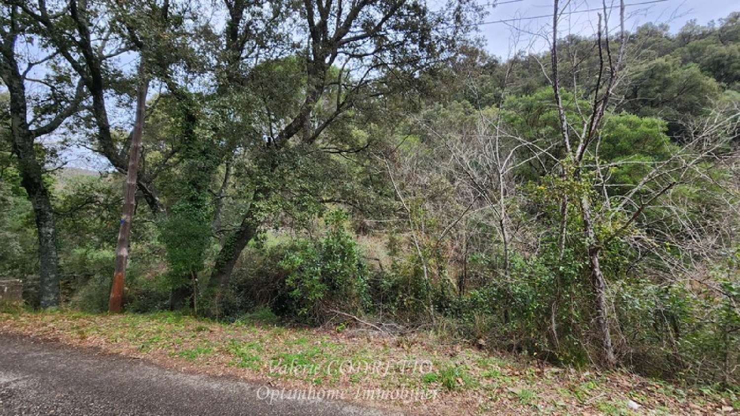  kaufen Grundstück Collobrières Var 1