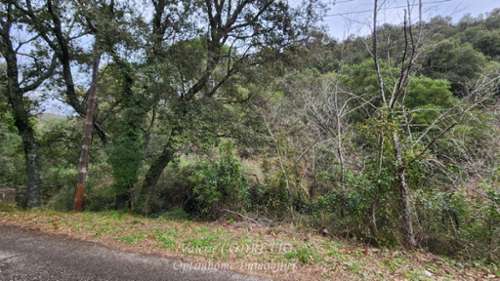 Collobrières Var Grundstück Bild 7182655