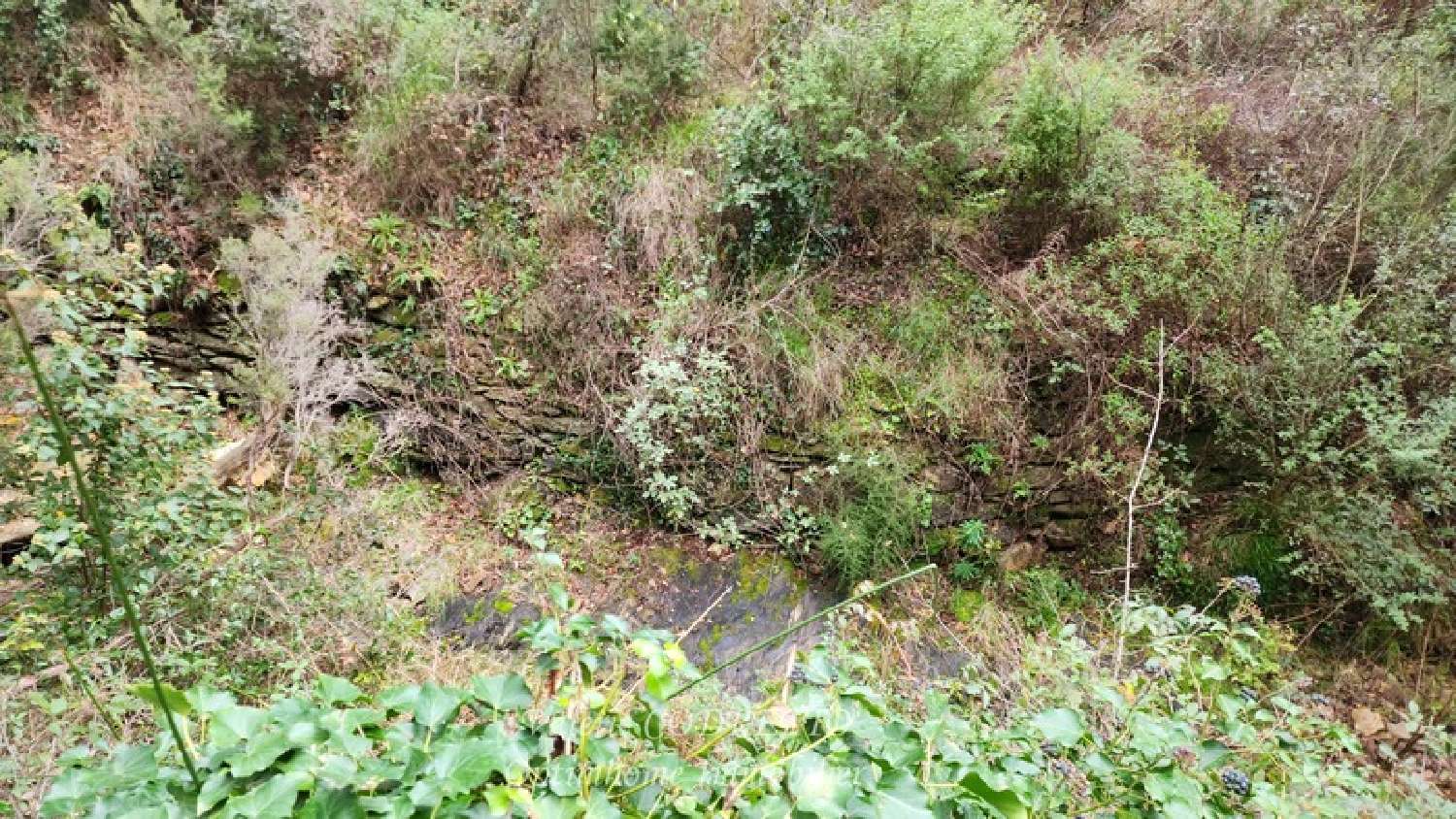  kaufen Grundstück Collobrières Var 2