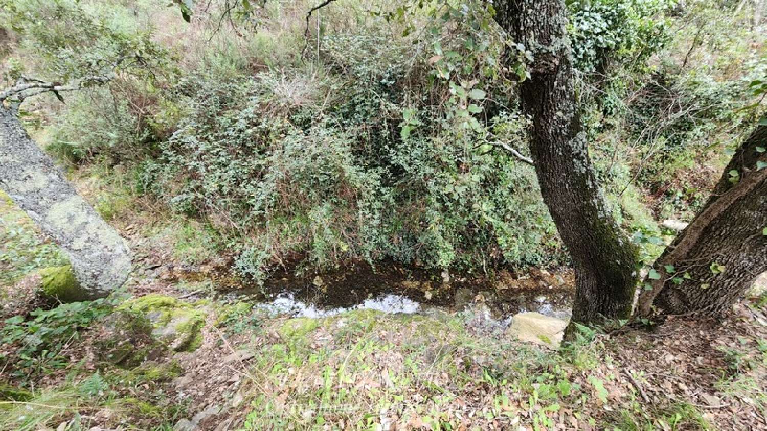  kaufen Grundstück Collobrières Var 4