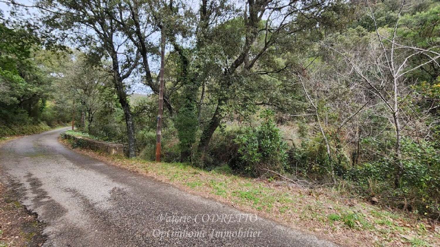  kaufen Grundstück Collobrières Var 5