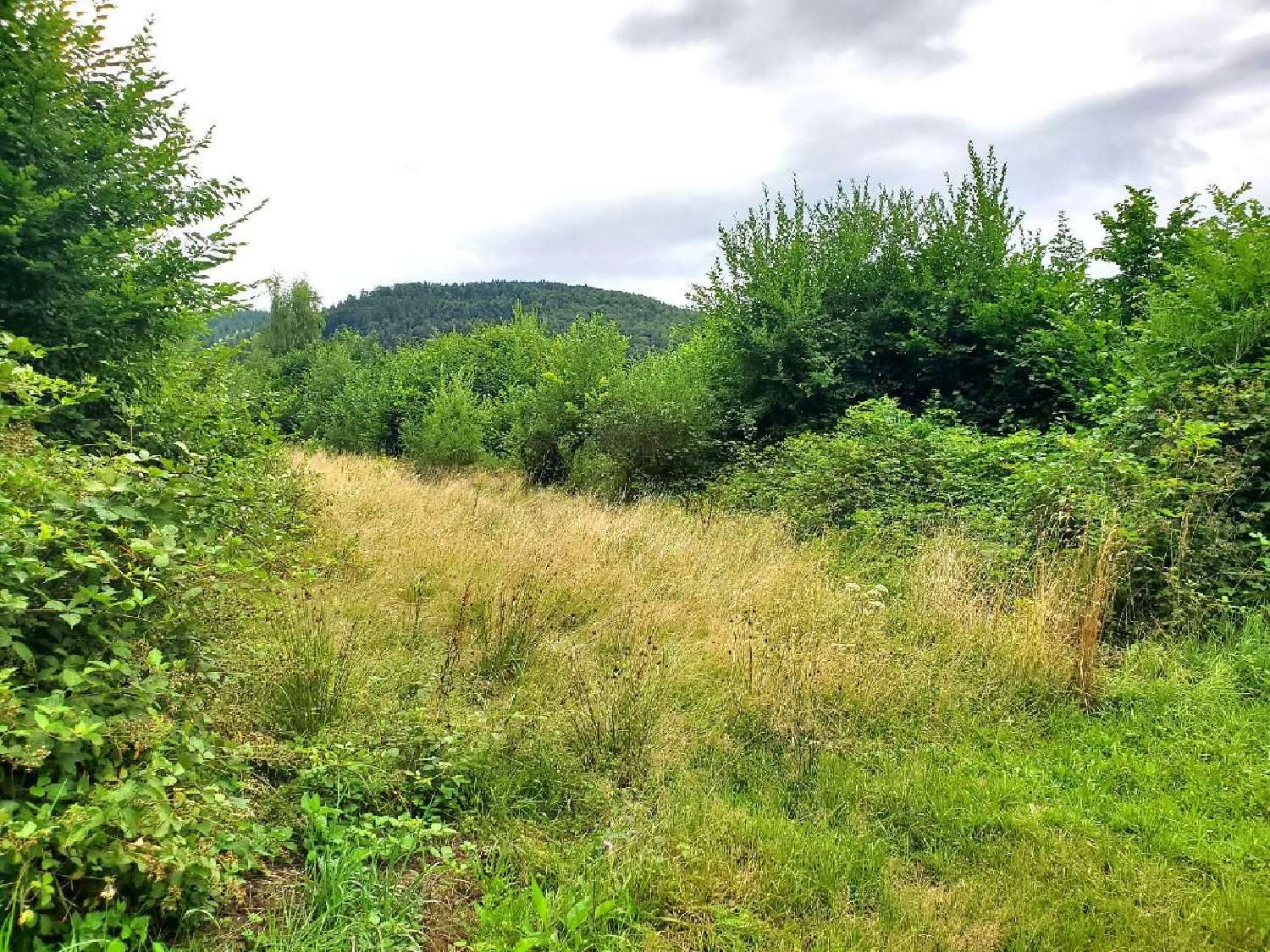  à vendre terrain Colroy-la-Roche Bas-Rhin 1