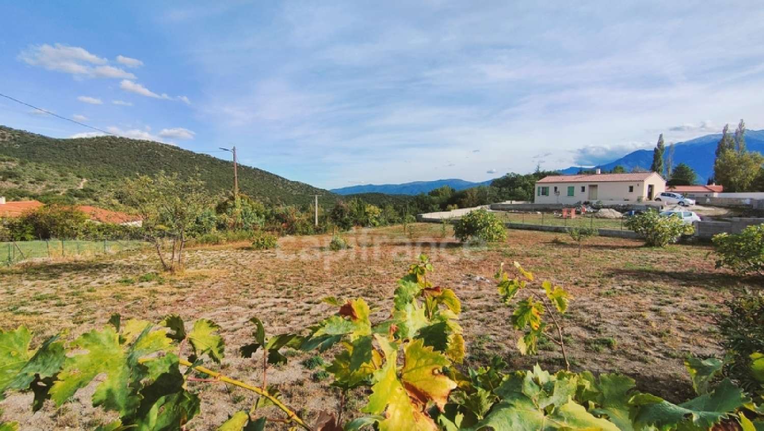 te koop terrein Conat Pyrénées-Orientales 2