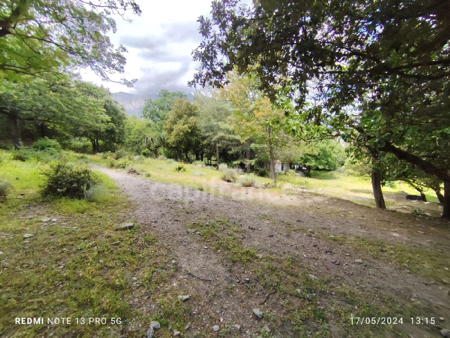  à vendre terrain Corte Haute-Corse 3