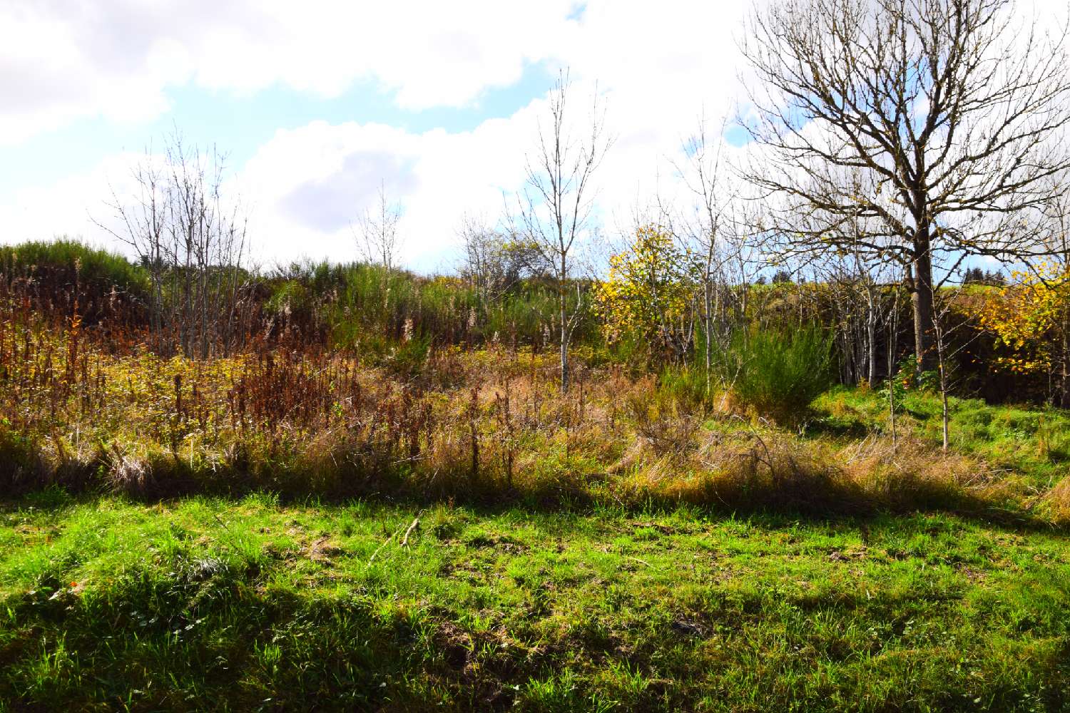  te koop terrein Coucouron Ardèche 3