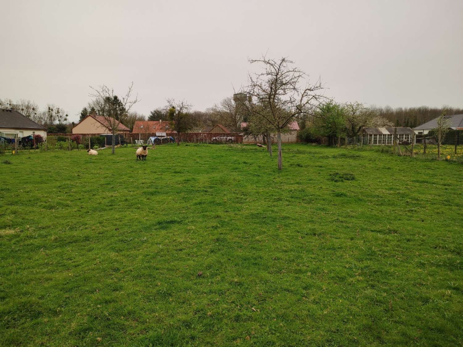  kaufen Grundstück Croixdalle Seine-Maritime 2