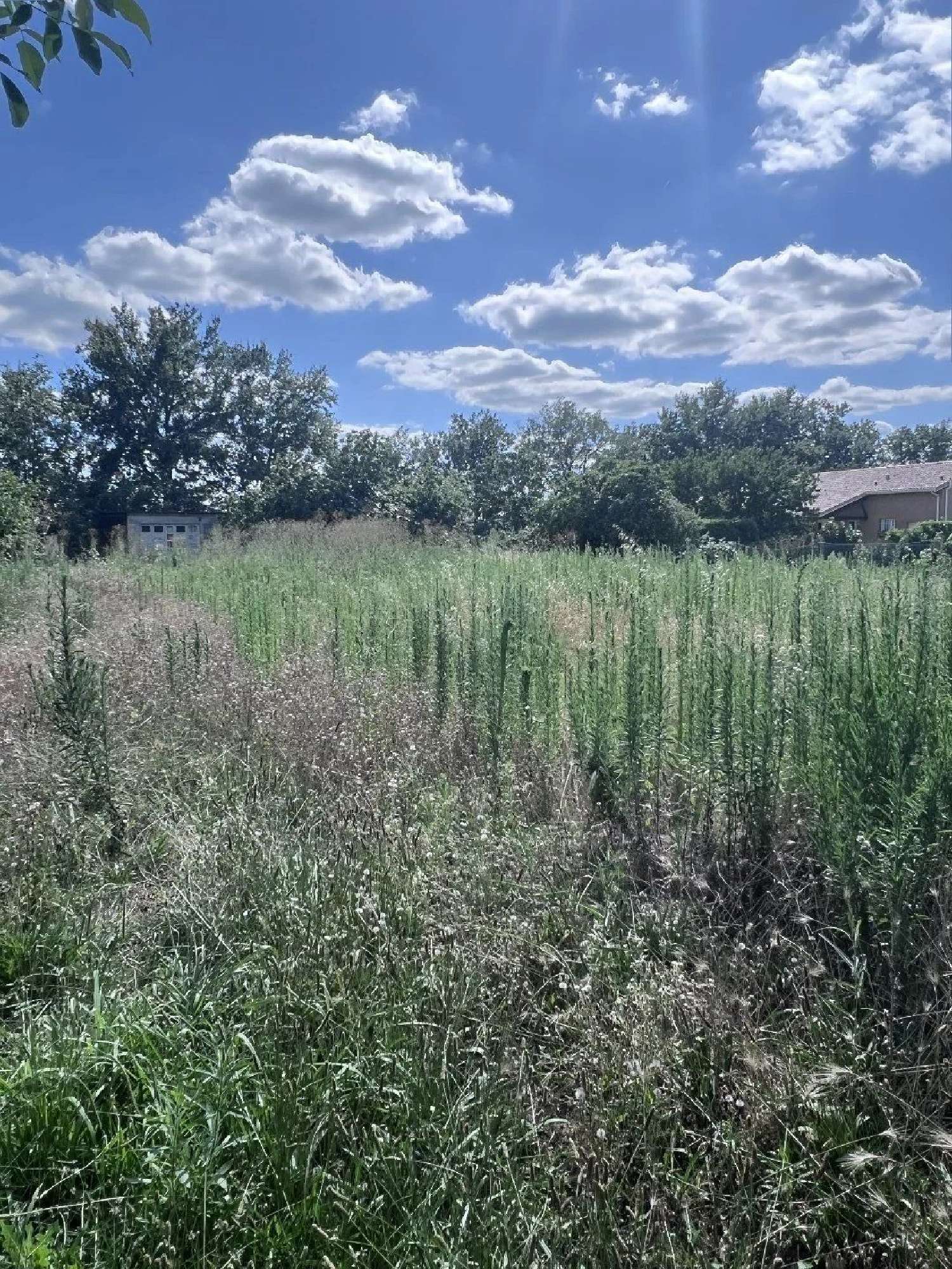 à vendre terrain Cugnaux Haute-Garonne 1