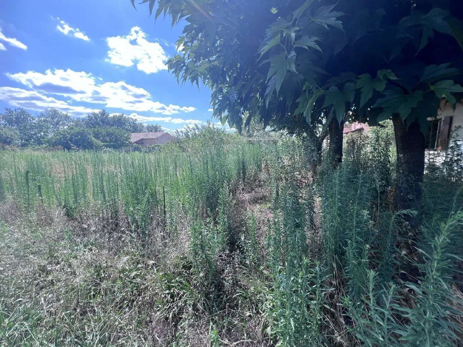 à vendre terrain Cugnaux Haute-Garonne 1