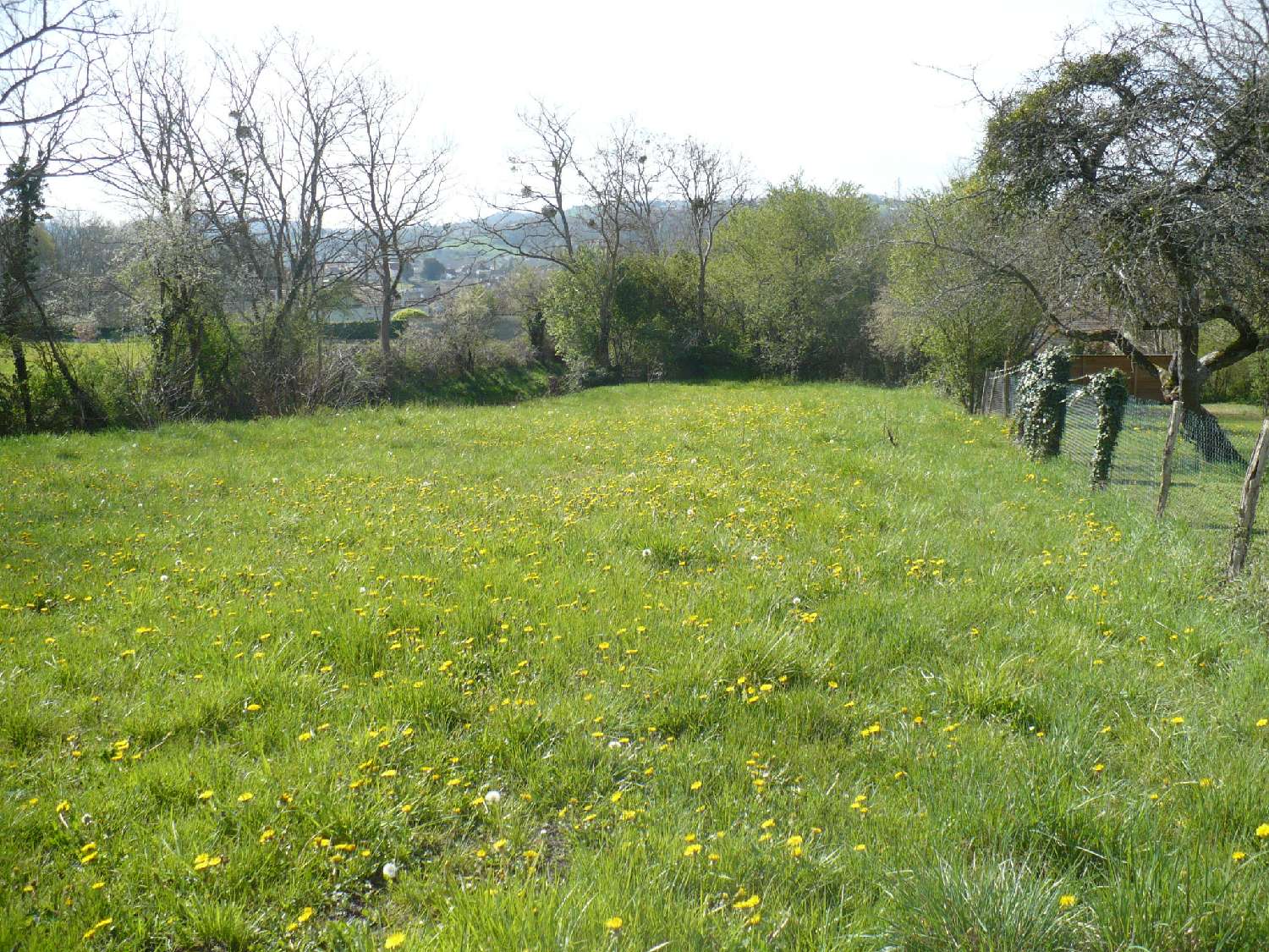  for sale terrain Cusset Allier 4