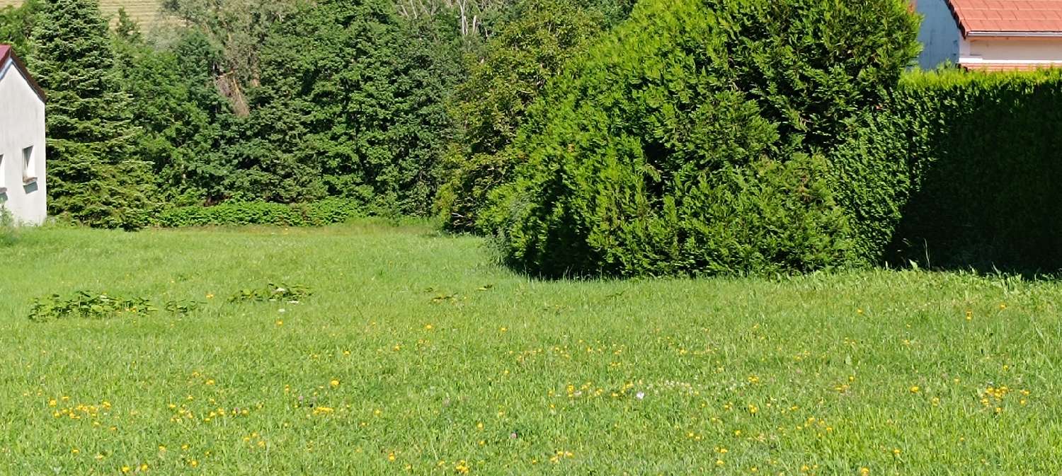 for sale terrain Cusset Allier 3