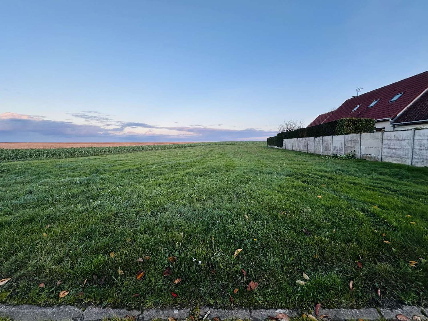 à vendre terrain Dammarie Eure-et-Loir 1